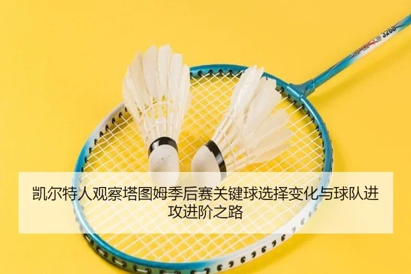凯尔特人观察塔图姆季后赛关键球选择变化与球队进攻进阶之路